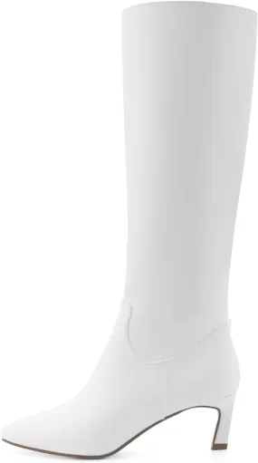 Knee High Boots for Women Kitten Heel Pointed Toe Low Mid Heel Long Tall Boots
